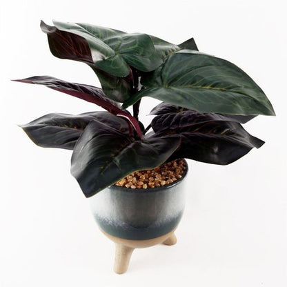 Elegant 35cm Artificial Ficus in Teal Ceramic Planter - Low Maintenance Delight! - plants - express.com
