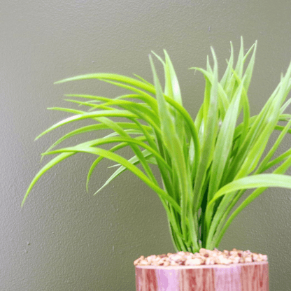 Elegant 35cm Artificial Grass Plant in Modern Ceramic Planter & Metal Stand - plants - express.com