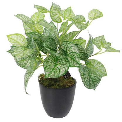 Elegant 40cm Realistic Artificial Caladium Plant in Weighted Pot - plants - express.com