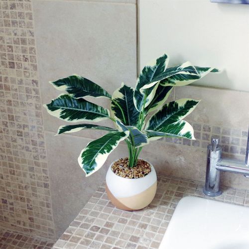 Elegant 40cm Variegated Pothos Plant in Hand - Painted Cement Planter - plants - express.com