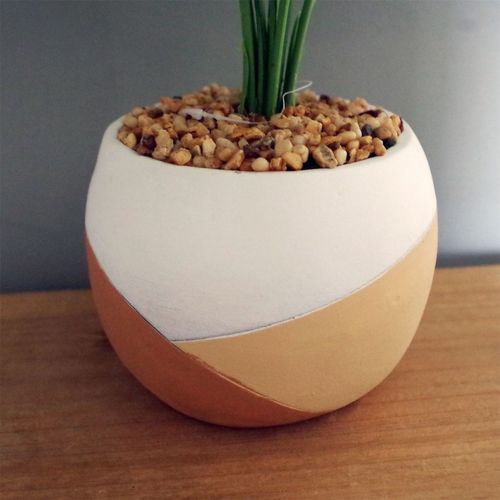 Elegant 40cm Variegated Pothos Plant in Hand - Painted Cement Planter - plants - express.com