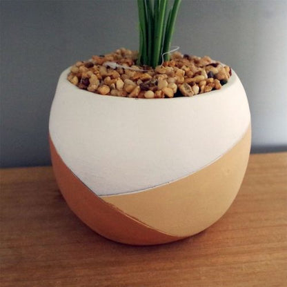 Elegant 40cm Variegated Pothos Plant in Hand - Painted Cement Planter - plants - express.com