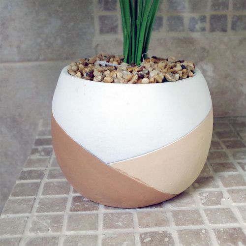 Elegant 40cm Variegated Pothos Plant in Hand - Painted Cement Planter - plants - express.com