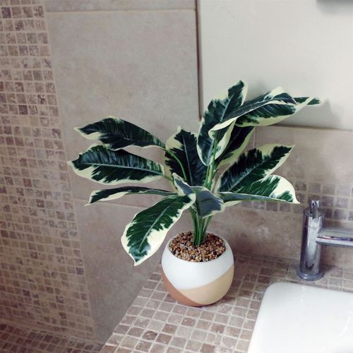 Elegant 40cm Variegated Pothos Plant in Hand - Painted Cement Planter - plants - express.com