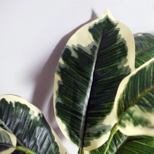Elegant 40cm Variegated Pothos Plant in Hand - Painted Cement Planter - plants - express.com