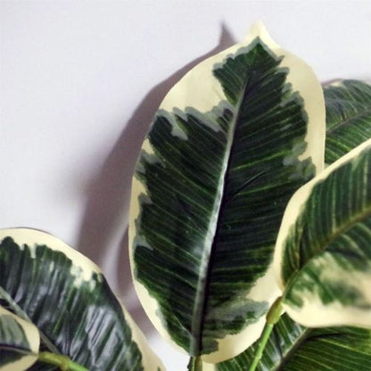 Elegant 40cm Variegated Pothos Plant in Hand - Painted Cement Planter - plants - express.com