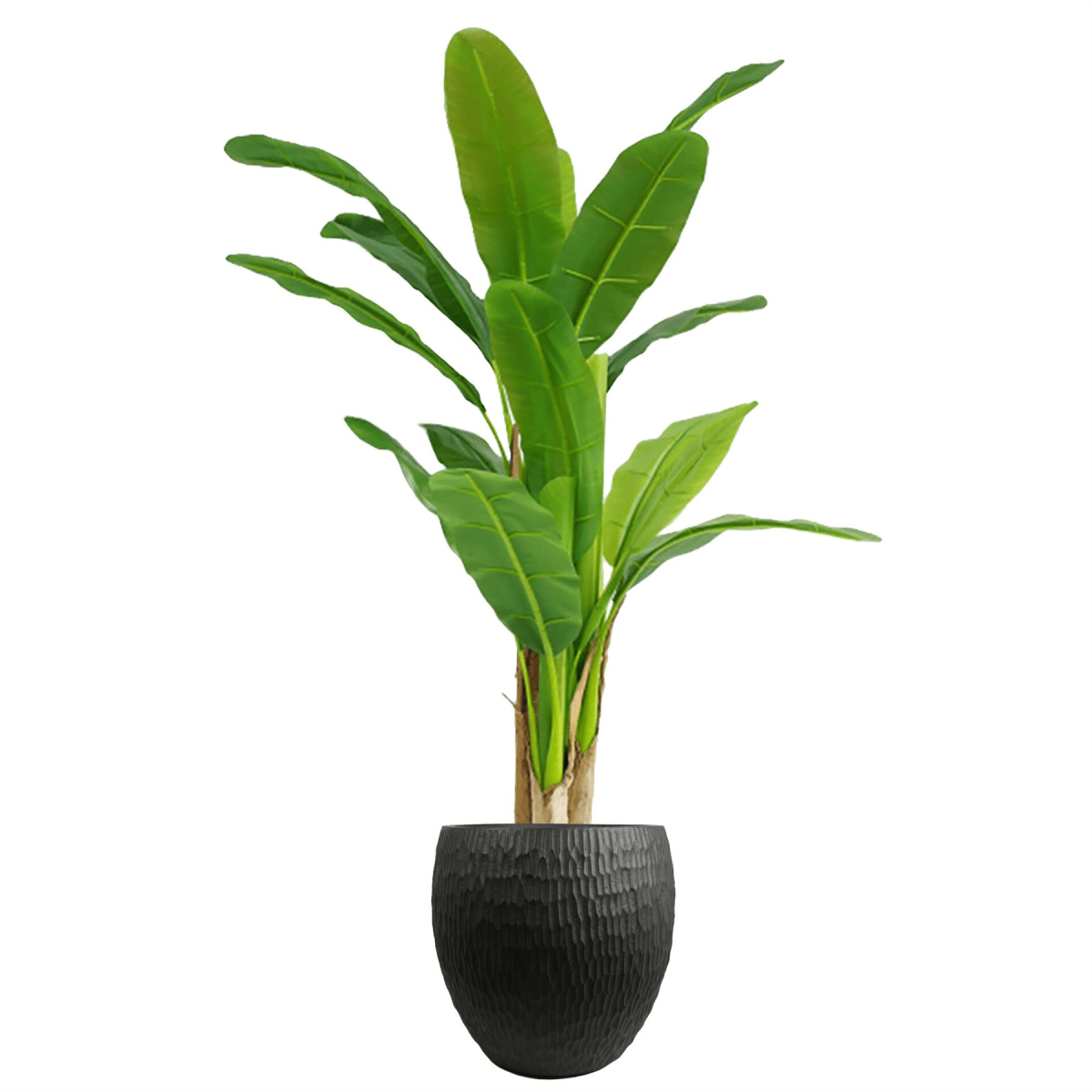 Elegant 43cm Inoke Large Grey Composite Planter - Rustic Charm for Any Space - plants - express.com