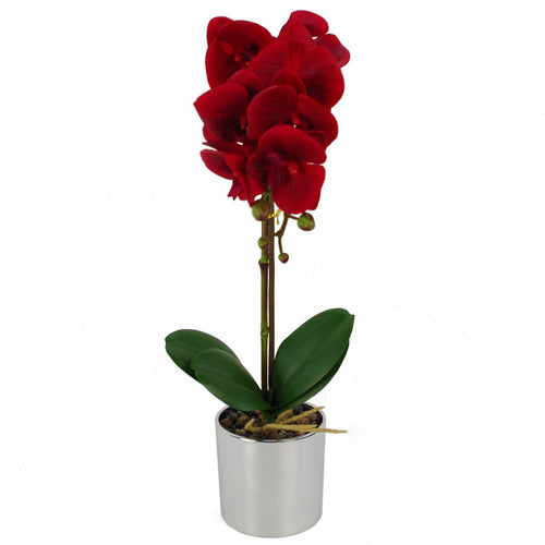 Elegant 46cm Red Artificial Orchid in Stylish Silver Pot – Lifelong Beauty! - plants - express.com