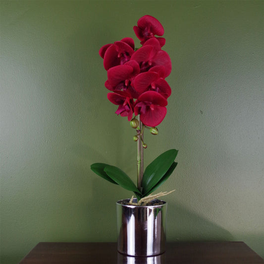 Elegant 46cm Red Artificial Orchid in Stylish Silver Pot - Luxurious Decor - plants - express.com