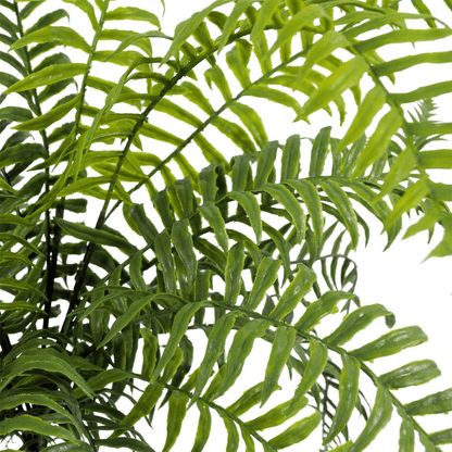 Elegant 50cm Artificial Boston Fern Plant - No Maintenance, Perfect Décor! - plants - express.com