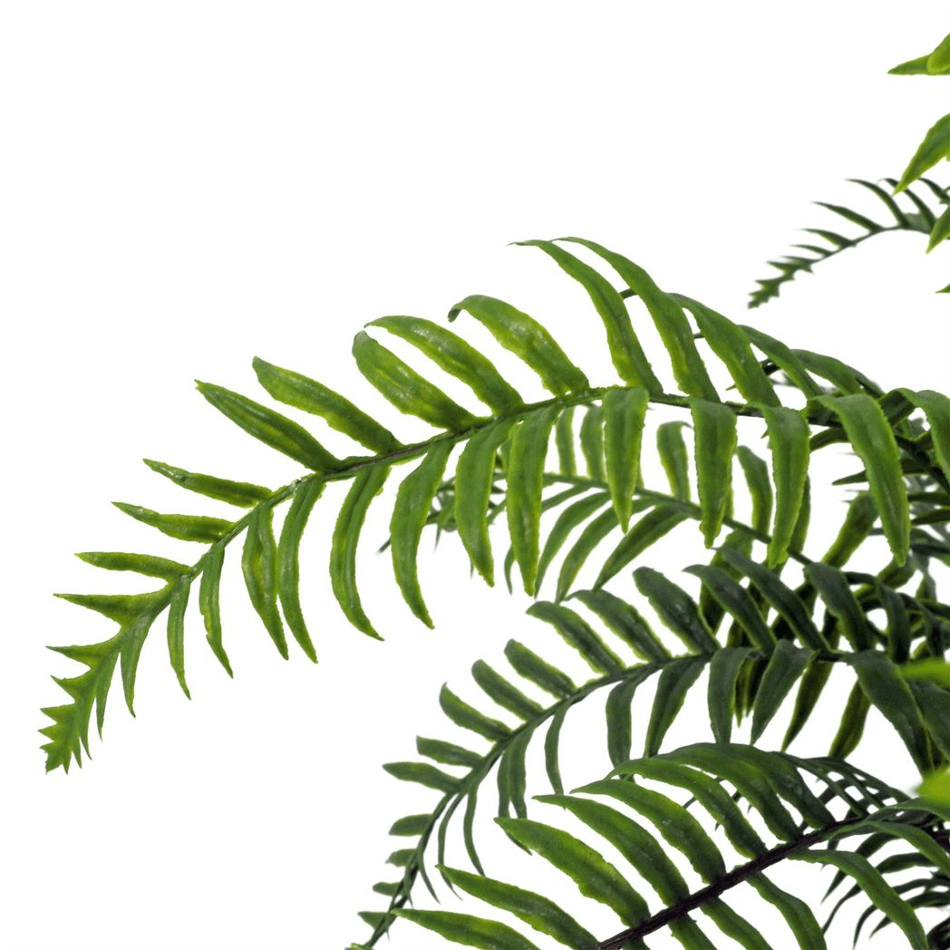 Elegant 50cm Artificial Boston Fern Plant - No Maintenance, Perfect Décor! - plants - express.com
