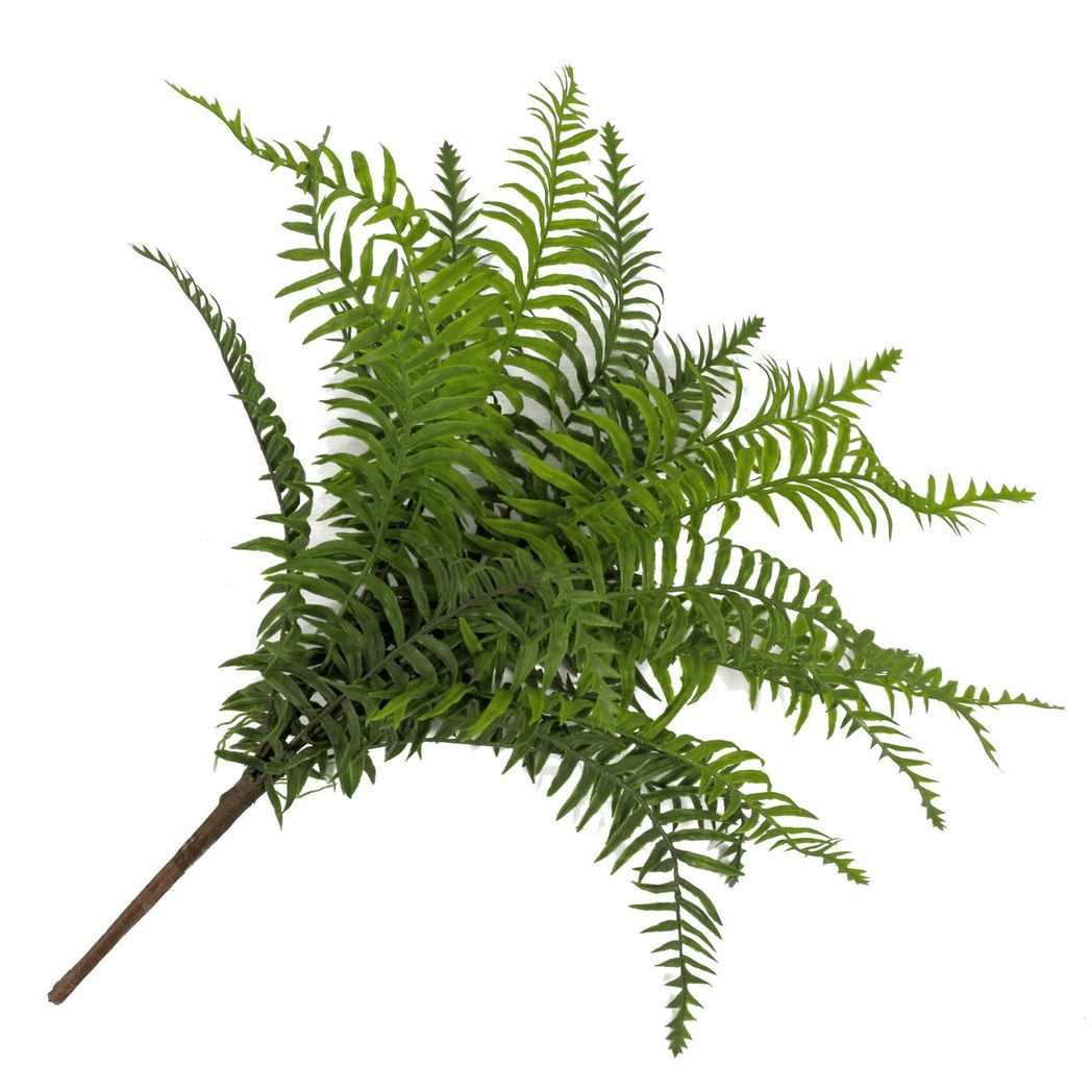 Elegant 50cm Artificial Boston Fern Plant - No Maintenance, Perfect Décor! - plants - express.com