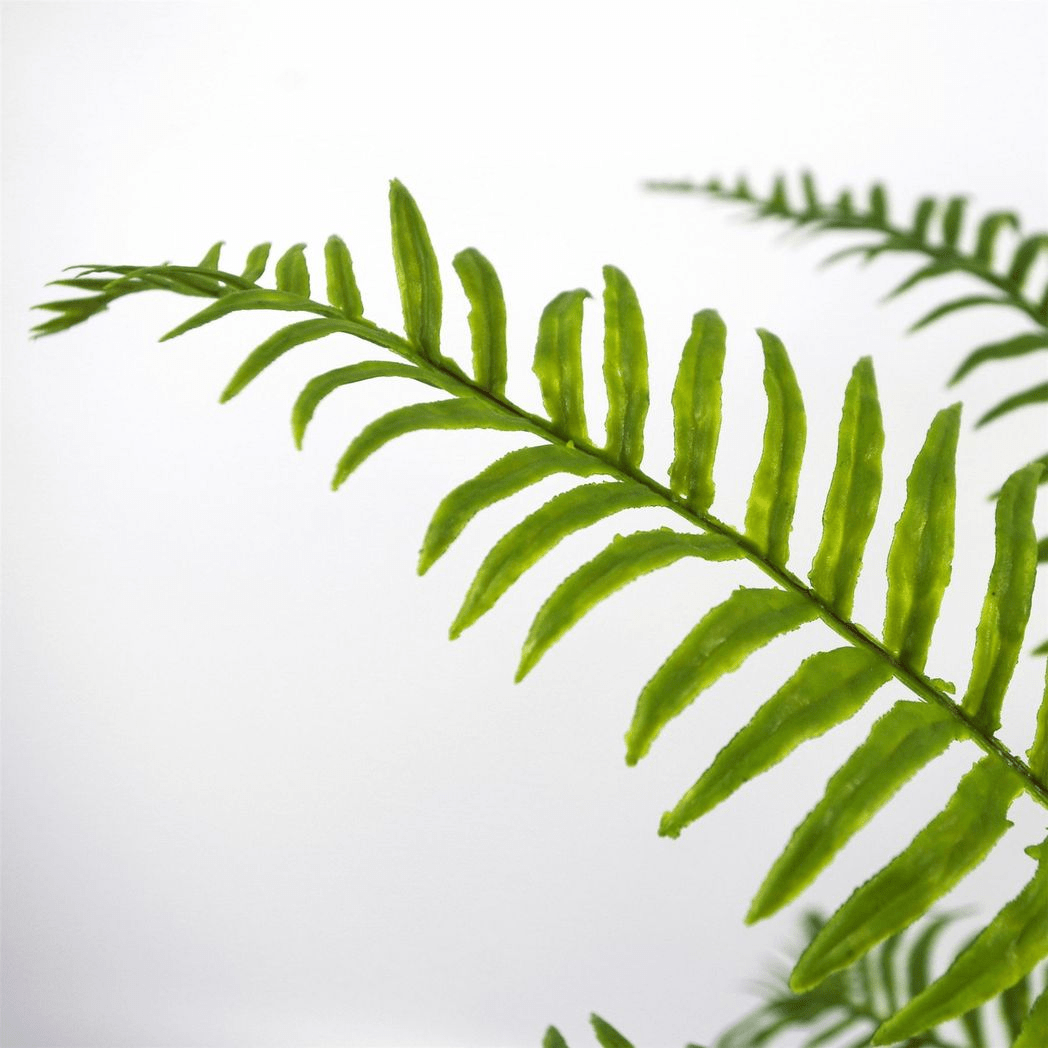 Elegant 50cm Artificial Boston Fern Plant - No Maintenance, Perfect Décor! - plants - express.com