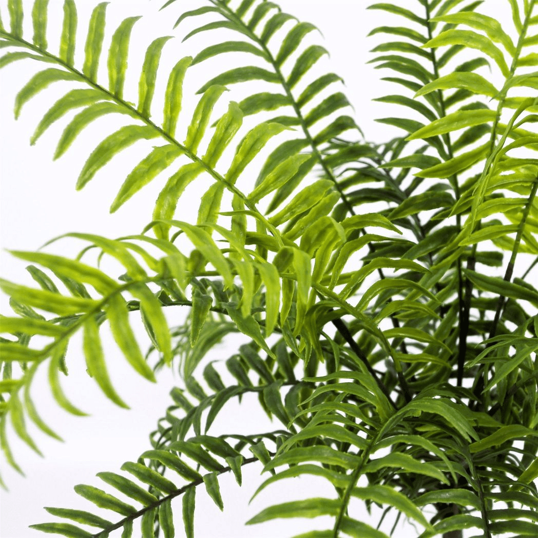 Elegant 50cm Artificial Boston Fern Plant - No Maintenance, Perfect Décor! - plants - express.com