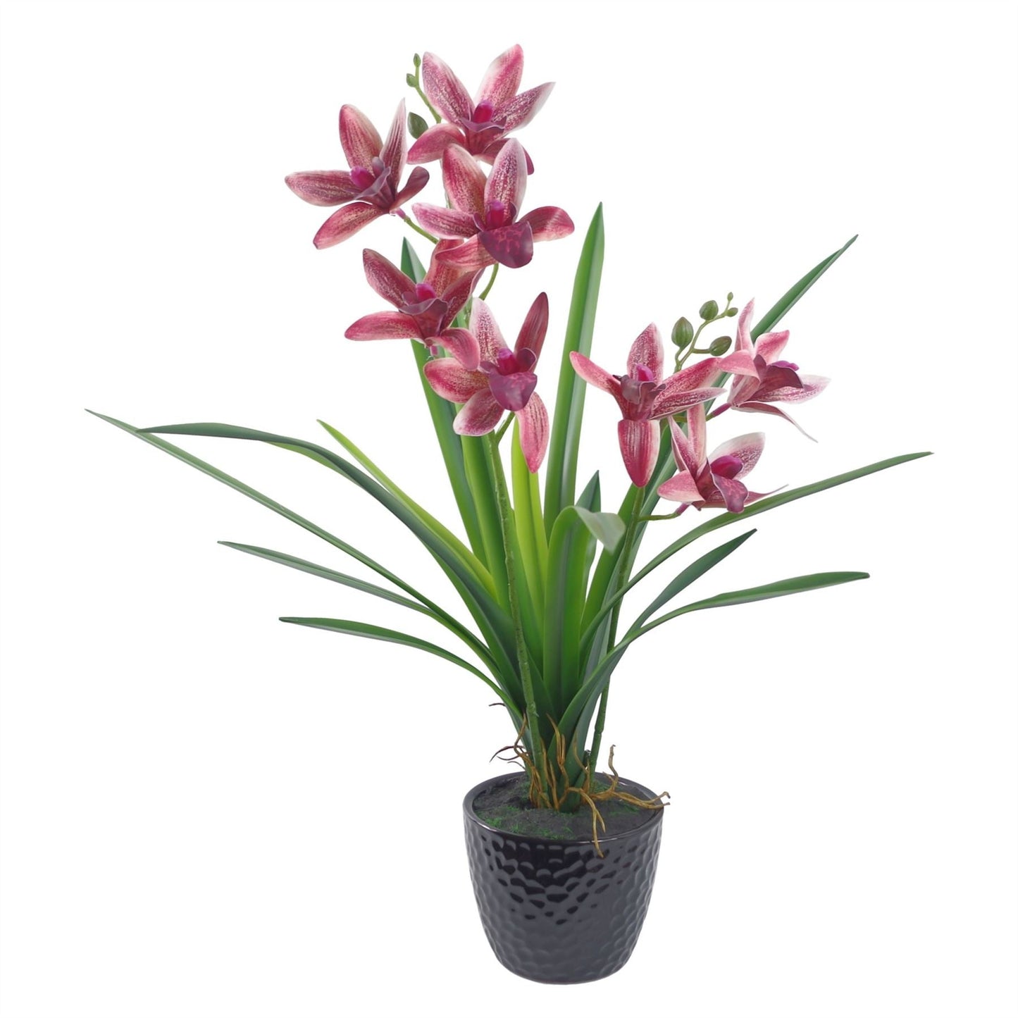 Elegant 50cm Dark Pink Orchid in Chic Ceramic Planter - Perfect Home Decor - plants - express.com