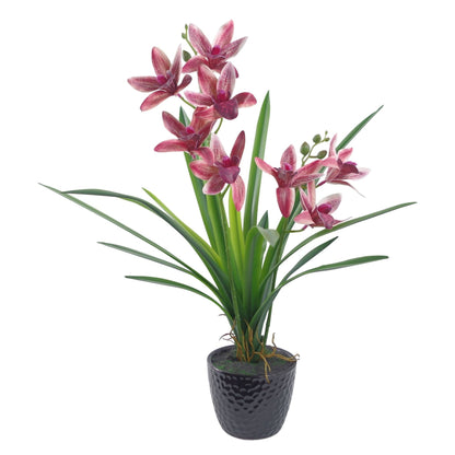 Elegant 50cm Dark Pink Orchid in Chic Ceramic Planter - Perfect Home Decor - plants - express.com