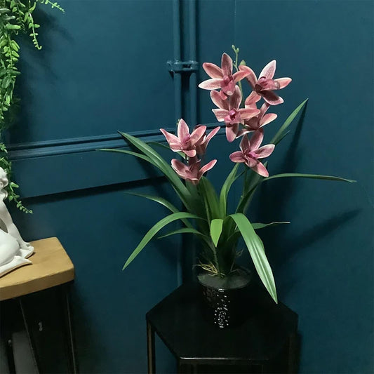 Elegant 50cm Dark Pink Orchid in Chic Ceramic Planter - Perfect Home Decor - plants - express.com