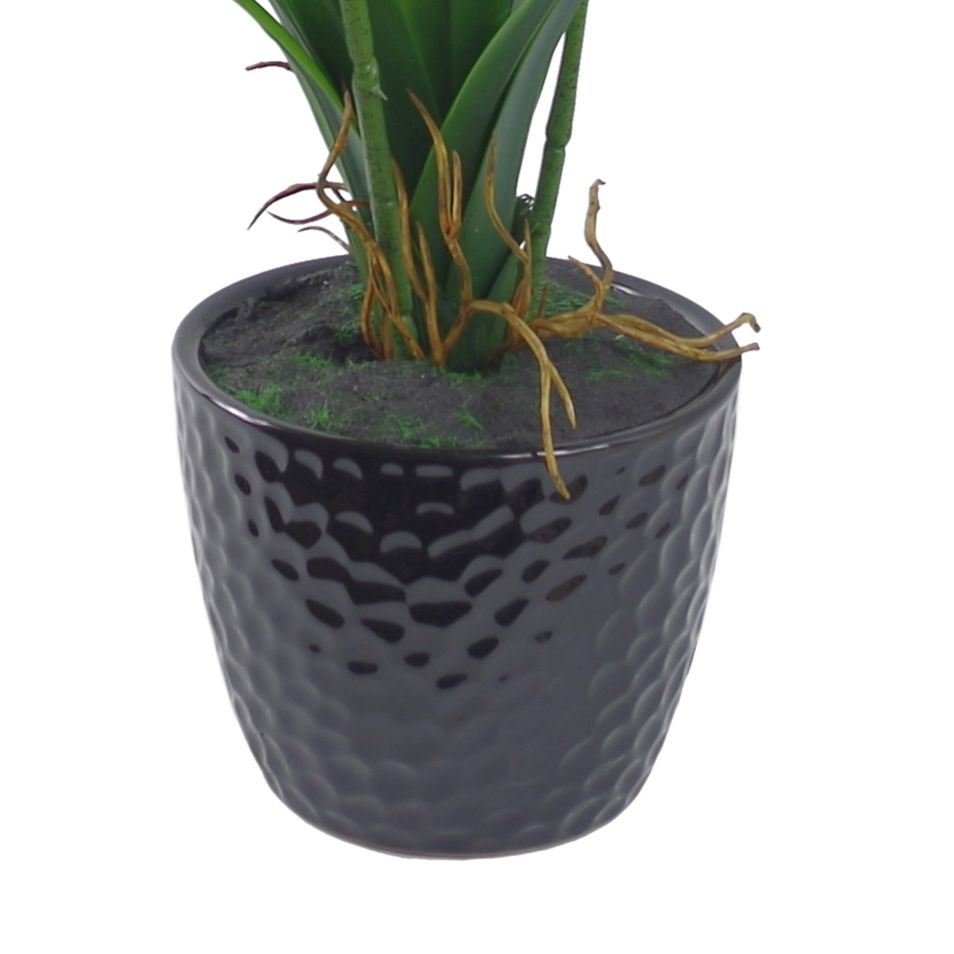 Elegant 50cm Dark Pink Orchid in Chic Ceramic Planter - Perfect Home Decor - plants - express.com