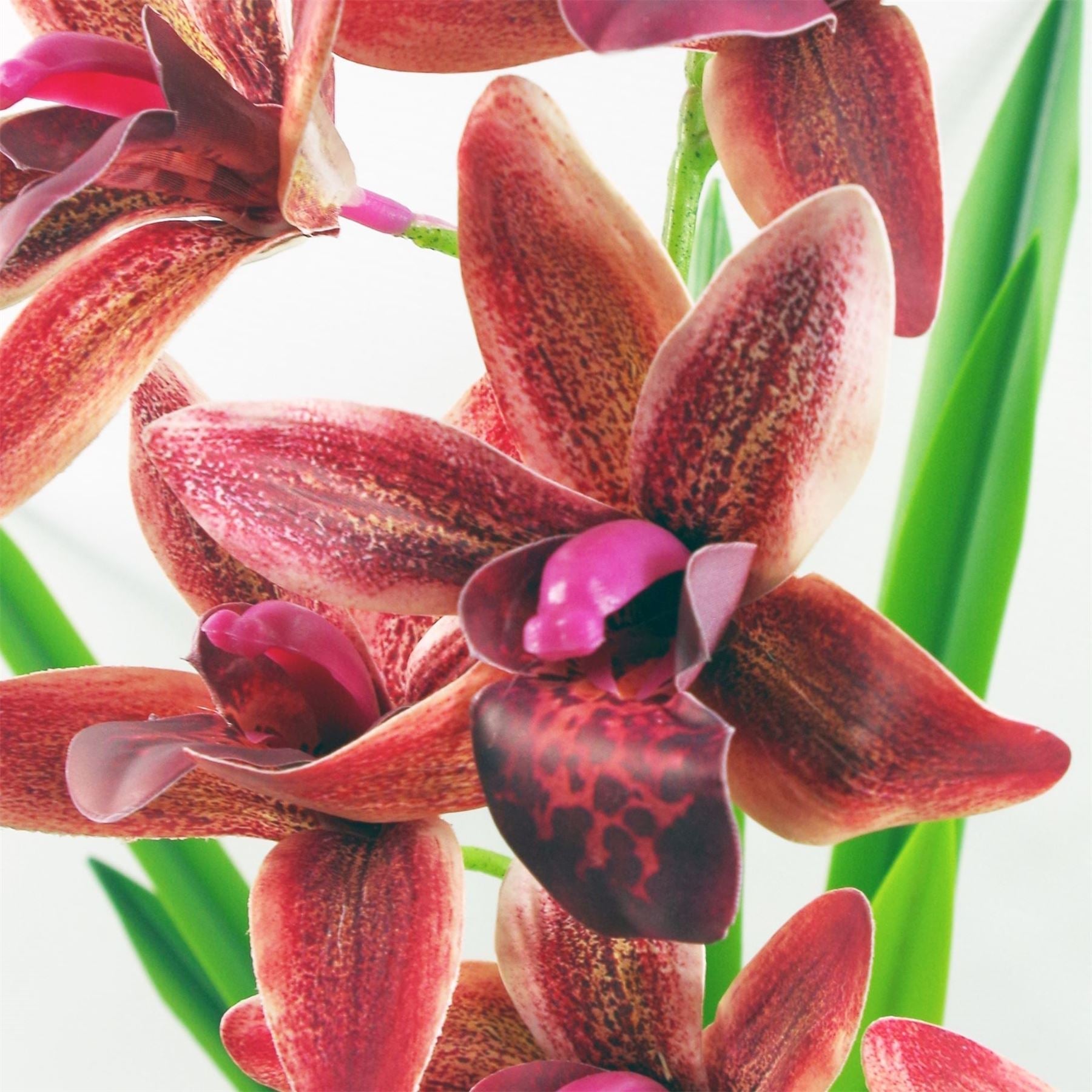 Elegant 50cm Dark Pink Orchid in Chic Ceramic Planter - Perfect Home Decor - plants - express.com