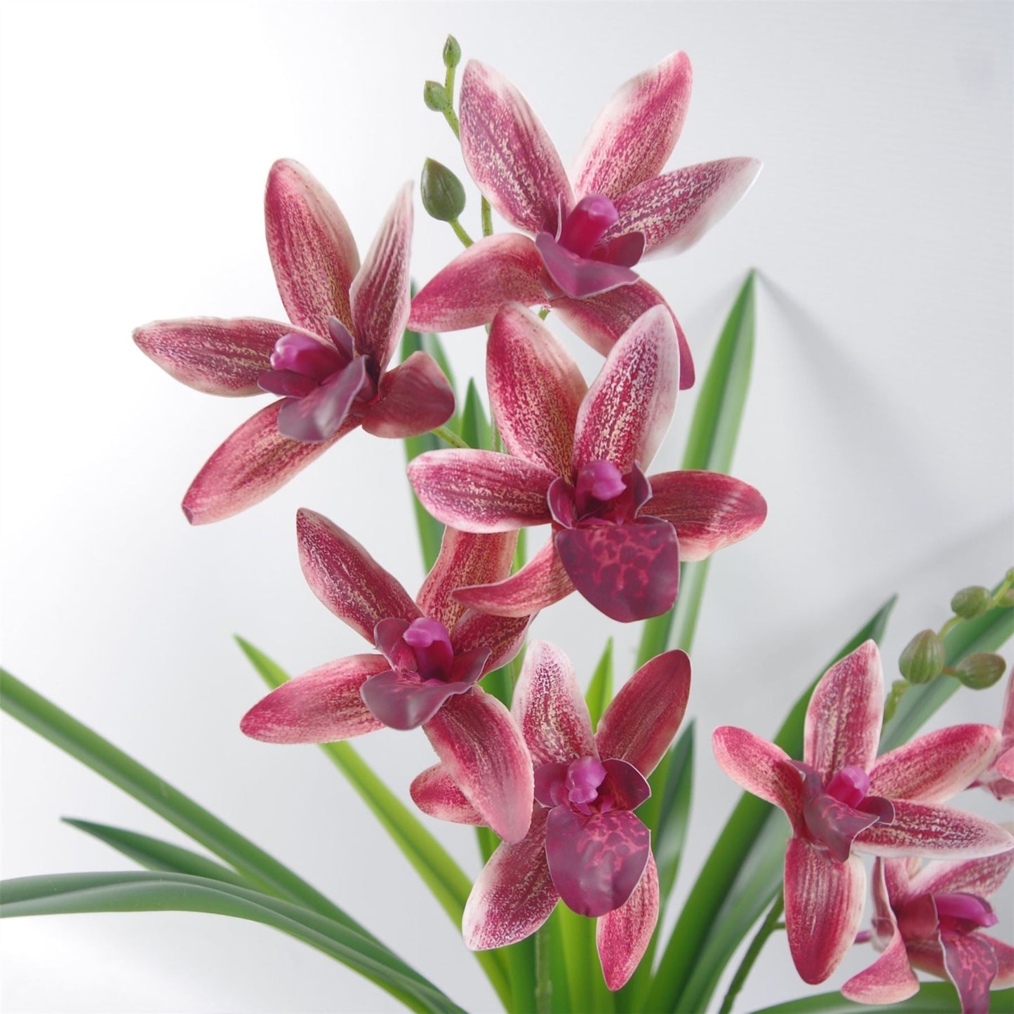 Elegant 50cm Dark Pink Orchid in Chic Ceramic Planter - Perfect Home Decor - plants - express.com