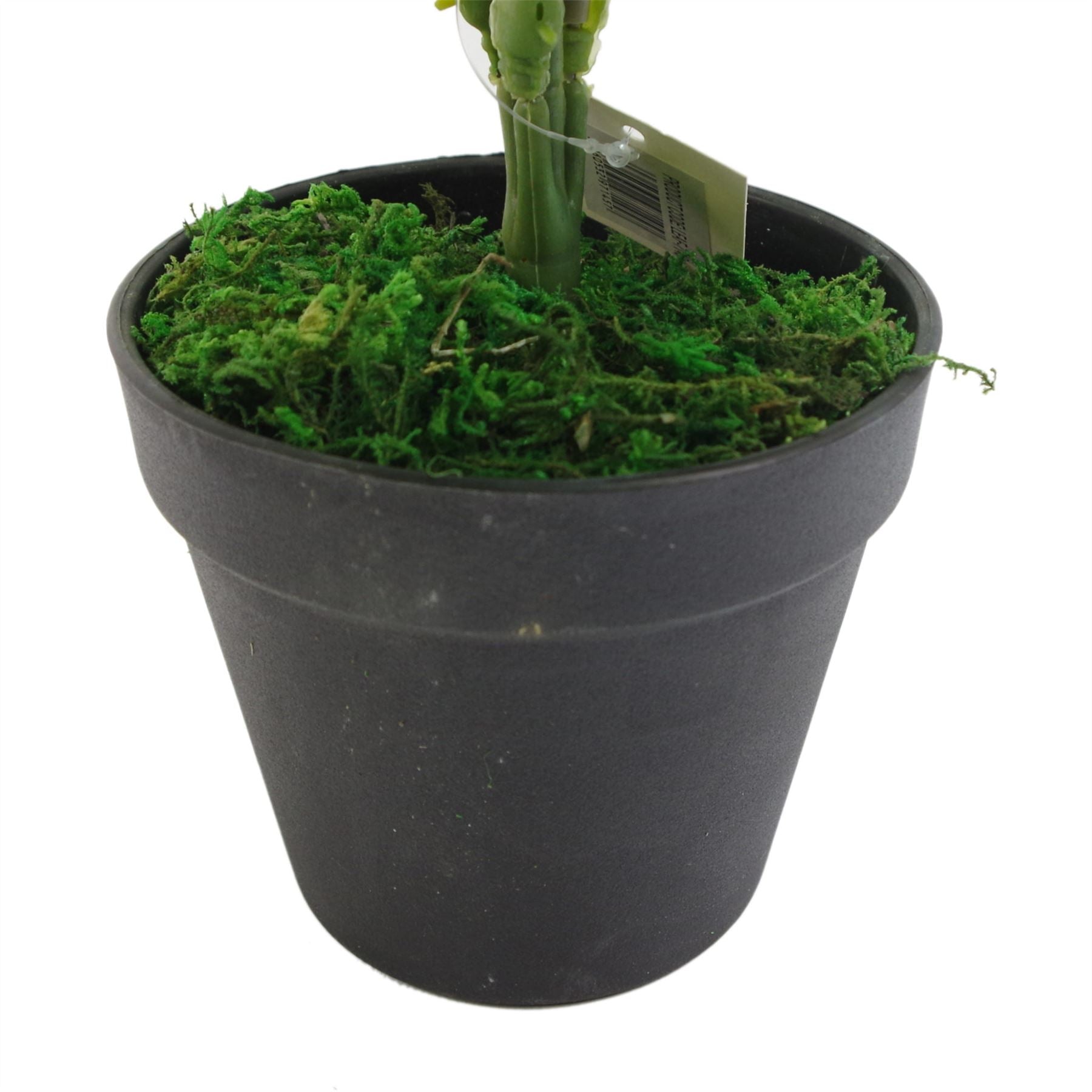 Elegant 50cm Luxury Faux Fern Plant - Perfect for Home Decor - plants - express.com