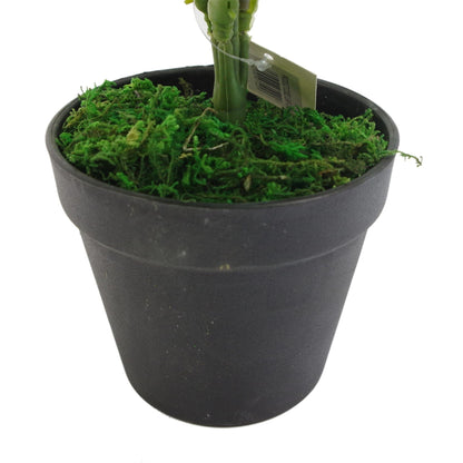 Elegant 50cm Luxury Faux Fern Plant - Perfect for Home Decor - plants - express.com