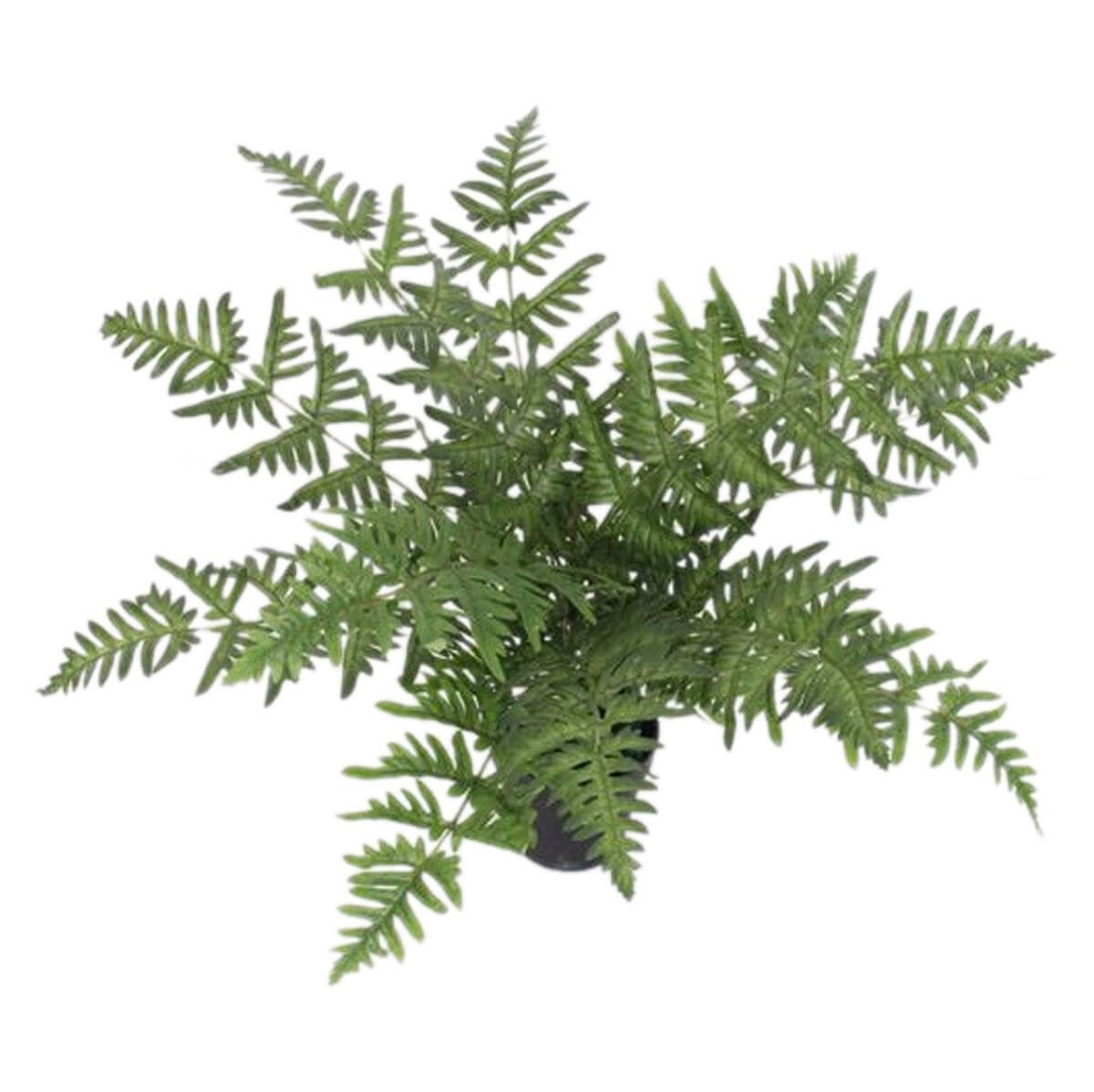 Elegant 50cm Luxury Faux Fern Plant - Perfect for Home Decor - plants - express.com