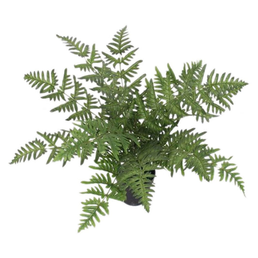 Elegant 50cm Luxury Faux Fern Plant - Perfect for Home Decor - plants - express.com