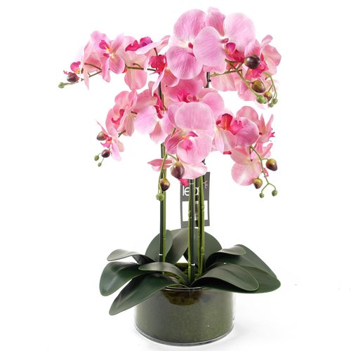 Elegant 50cm Pink Artificial Orchid in Luxurious Glass Planter - plants - express.com