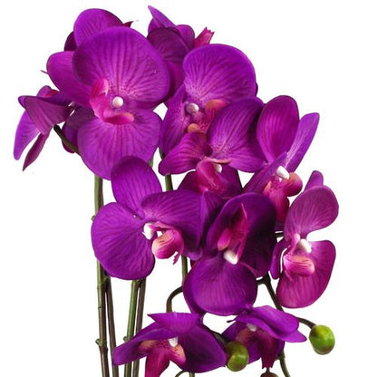 Elegant 52cm Purple & Gold Artificial Orchid - Real Touch Blooming Beauty - plants - express.com