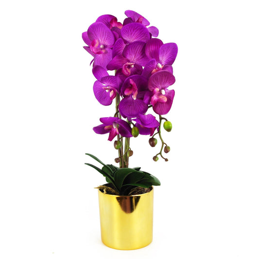 Elegant 52cm Purple & Gold Artificial Orchid - Real Touch Blooming Beauty - plants - express.com