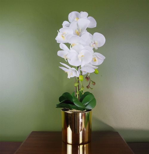 Elegant 52cm White & Gold Artificial Orchid - Luxe Real Touch Home Décor - plants - express.com