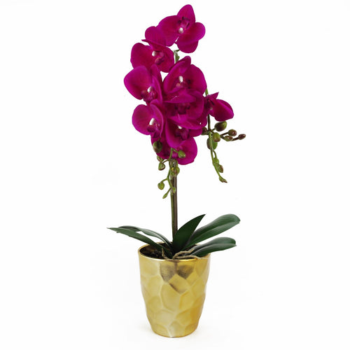 Elegant 54cm Dark Pink Orchid in Stylish Gold Pot - Realistic Touch Design - plants - express.com