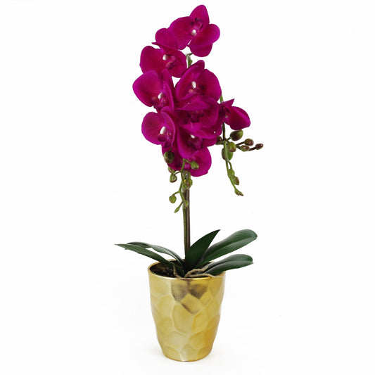 Elegant 54cm Dark Pink Orchid in Stylish Gold Pot - Realistic Touch Design - plants - express.com