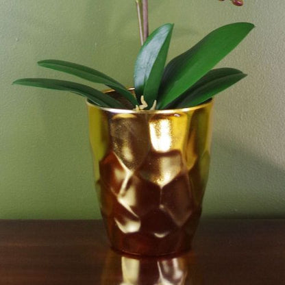 Elegant 54cm White Artificial Orchid in Gold Pot - Lifelike Floral Decoration - plants - express.com