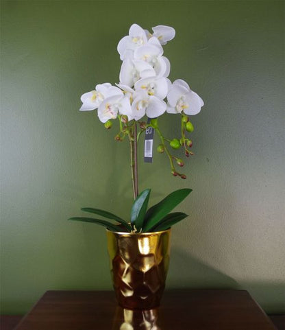 Elegant 54cm White Artificial Orchid in Gold Pot - Lifelike Floral Decoration - plants - express.com