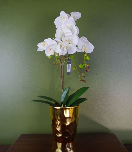 Elegant 54cm White Artificial Orchid in Gold Pot - Lifelike Floral Decoration - plants - express.com
