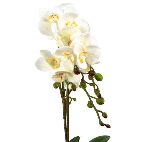 Elegant 54cm White Orchid Plant in Stylish Gold Pot - Realistic Touch! - plants - express.com