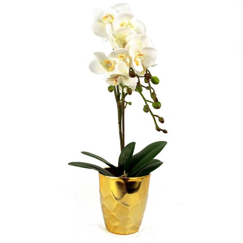Elegant 54cm White Orchid Plant in Stylish Gold Pot - Realistic Touch! - plants - express.com