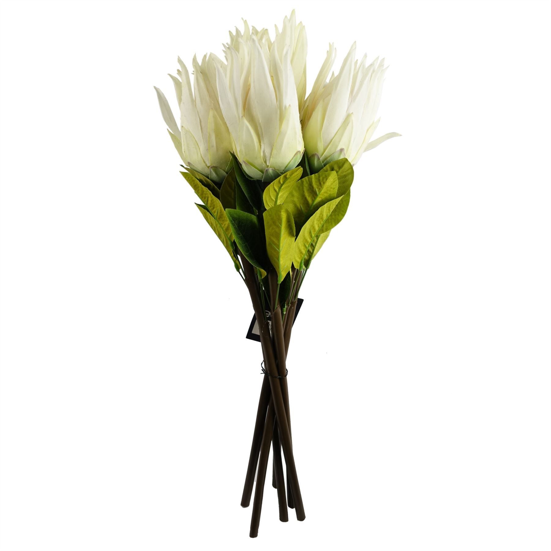 Elegant 6 - Pack White Protea Sugarbush Flower Stems - 65cm Real Touch - plants - express.com