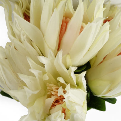 Elegant 6 - Pack White Protea Sugarbush Flower Stems - 65cm Real Touch - plants - express.com
