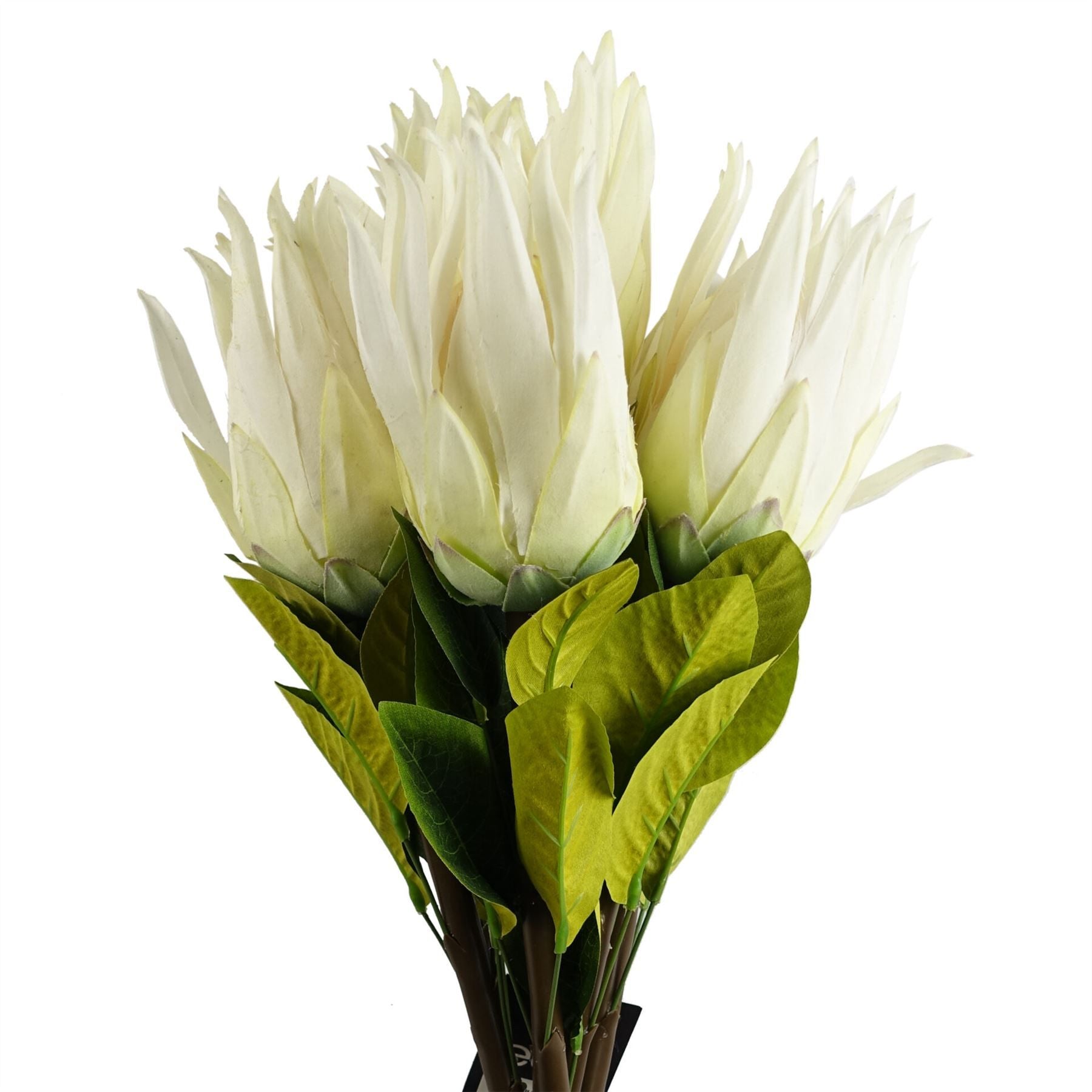 Elegant 6 - Pack White Protea Sugarbush Flower Stems - 65cm Real Touch - plants - express.com