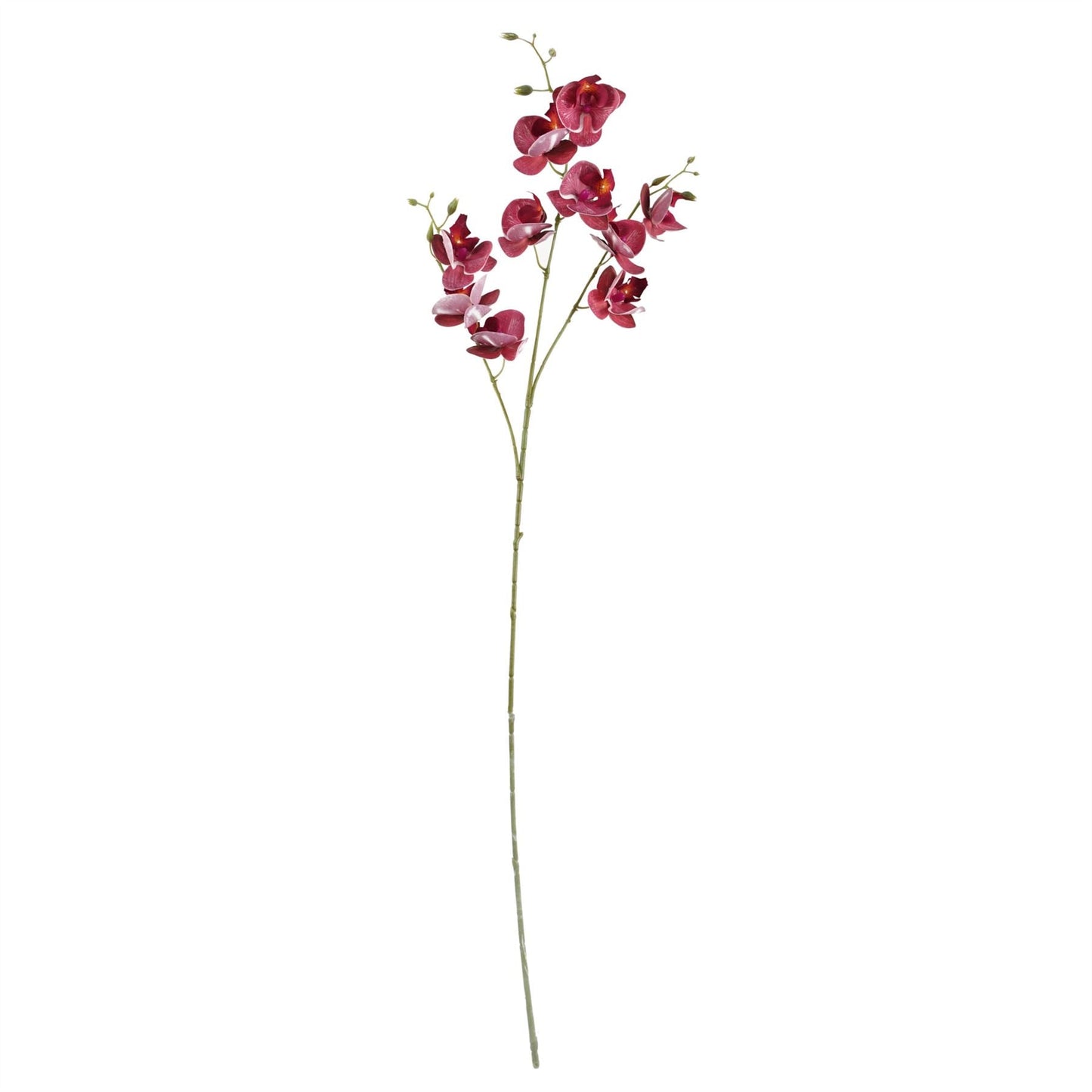 Elegant 60cm Artificial Chrysanthemum & Orchid Arrangement with Glass Vase - plants - express.com