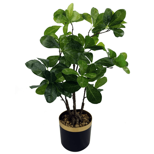 Elegant 60cm Artificial Ficus Bonsai Tree - Lifelike Indoor Decor - plants - express.com