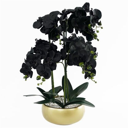 Elegant 60cm Black Orchid in Luxe Gold Ceramic Planter - Effortless Decor - plants - express.com
