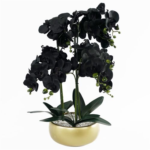 Elegant 60cm Black Orchid in Luxe Gold Ceramic Planter - Effortless Decor - plants - express.com
