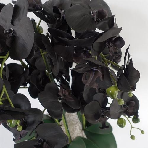 Elegant 60cm Faux Orchid in Stylish Black & White Ceramic Planter - plants - express.com