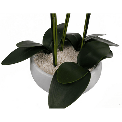 Elegant 60cm Faux Orchid in Stylish Black & White Ceramic Planter - plants - express.com