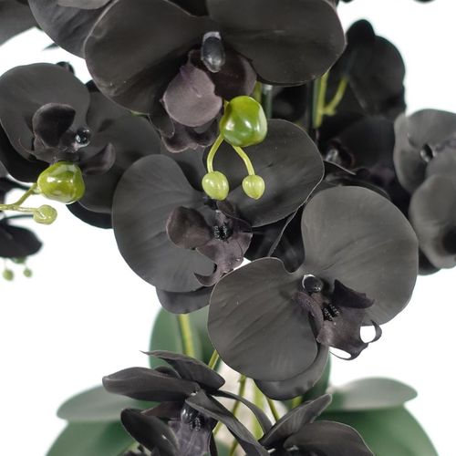 Elegant 60cm Faux Orchid in Stylish Black & White Ceramic Planter - plants - express.com