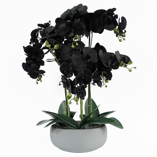 Elegant 60cm Faux Orchid in Stylish Black & White Ceramic Planter - plants - express.com